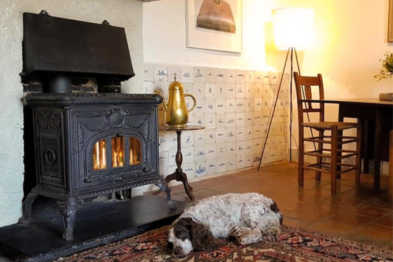 Countryside Bliss: Historic Cottage By The Sea Burgh-Haamstede Zewnętrze zdjęcie
